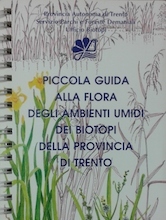 Piccola Guida alla Flora degli ambienti umidi dei Biotopi della Provincia di Trento - testi di Sandro Zanghellini e Anna Matassoni