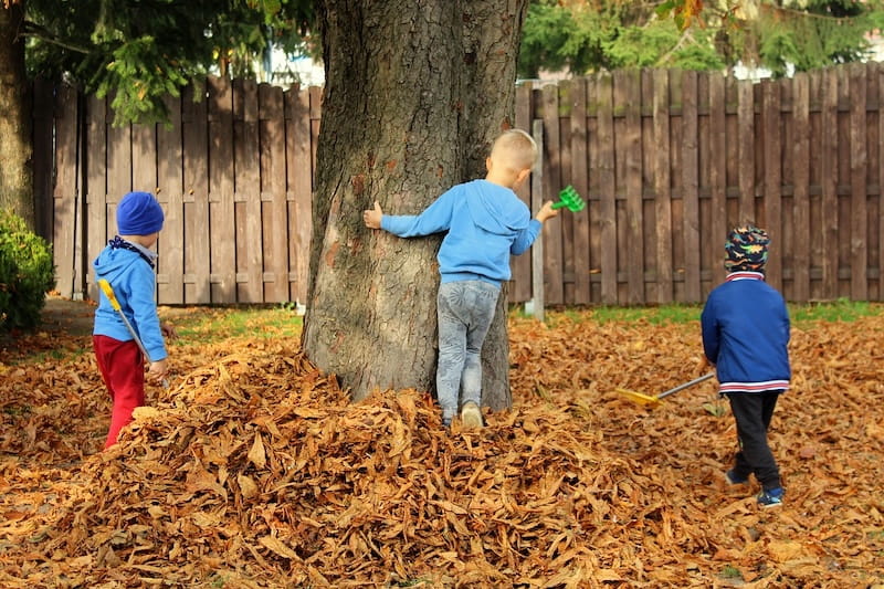 Bambini giocano con foglie d'autunno