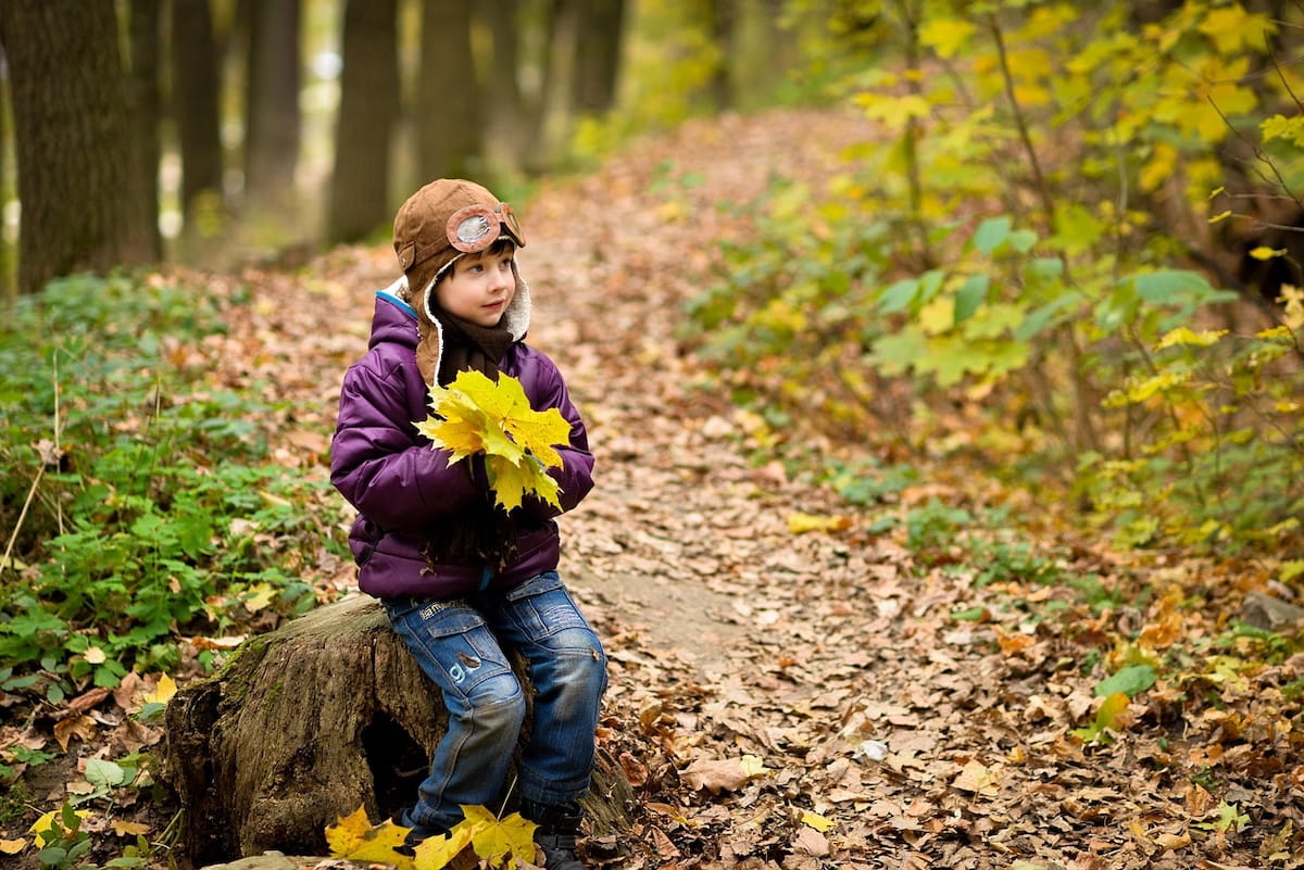 Bambino nel bosco in autunno con foglie